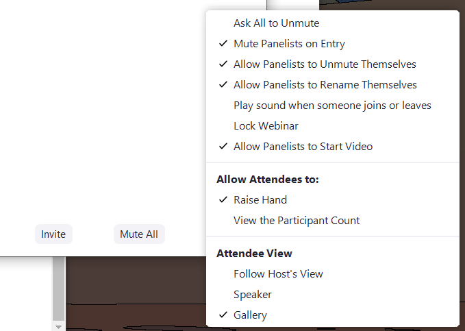 Zoom Webinar Guide | Zoom